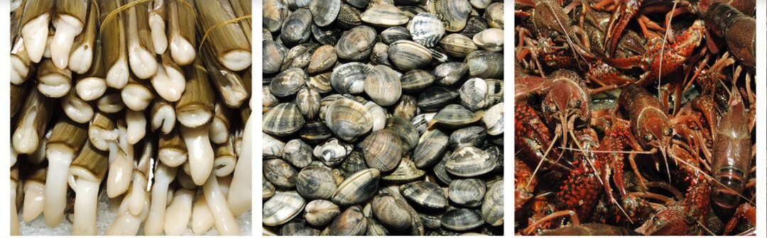 Beneficios de comer pescado y marisco