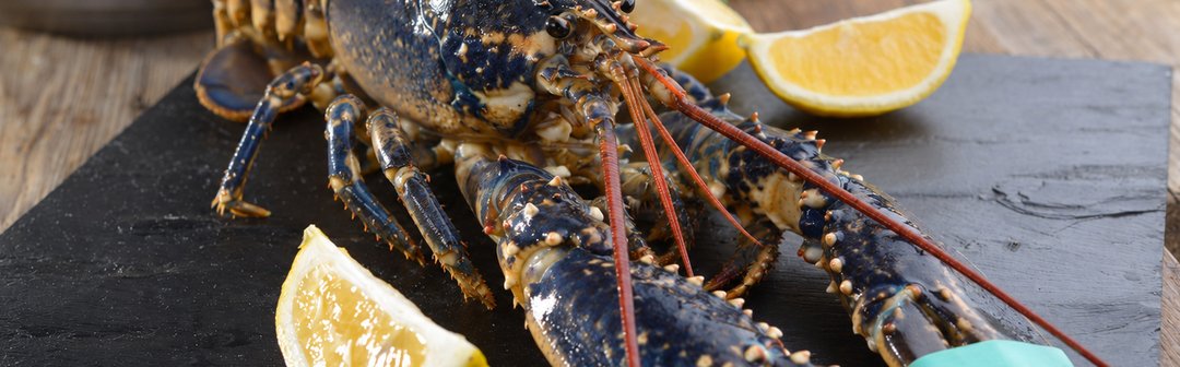 Receta de bogavante a la plancha