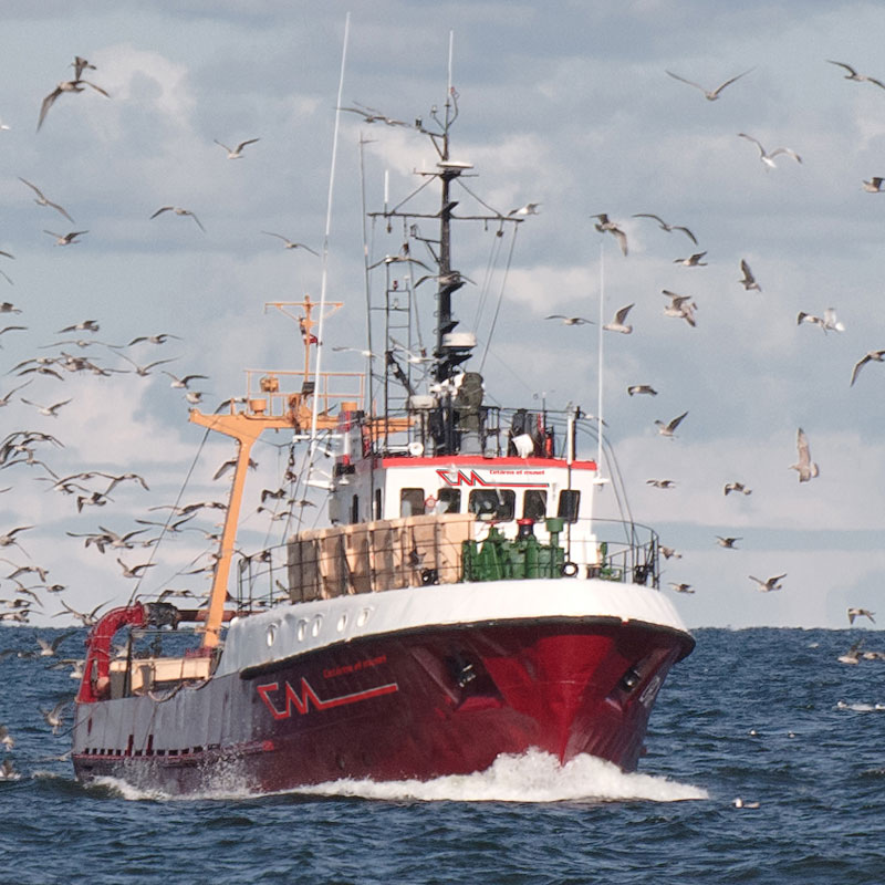 Barco de la flota